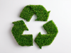 ¿Son productos ecológicos?